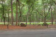 Shaded campsite with a picnic table, next to an asphalt road and surrounded by beautiful oak trees and pine trees.