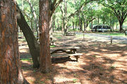 Shaded campsite with a picnic table, next to an asphalt road and surrounded by beautiful oak trees and pine trees.