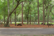 Shaded campsite with a picnic table, next to an asphalt road and surrounded by beautiful oak trees and pine trees.
