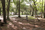 Shaded campsite next to an asphalt road amidst beautiful oak trees and pine trees.