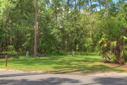 Grass filled campsite with a picnic table and fire ring, next to an asphalt road and in front of a woodland backdrop.