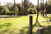 Grass filled campsite surrounded by beautiful trees and shrubbery next to an asphalt road with a picnic shelter in background.