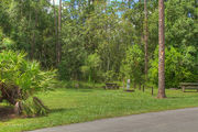 Grass filled campsite with a picnic table and fire ring, next to an asphalt road and in front of a woodland backdrop.