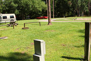 Grass filled campsite with plenty of sun and space.