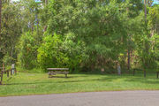 Grass filled campsite next to an asphalt road with a picnic table, surrounded by lush vegetation.