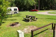 Grass filled campsite next to an asphalt road with a picnic table and fire ring, surrounded by lush vegetation.
