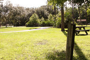 Grass filled campsite with a picnic table, surrounded by trees and shrubbery.