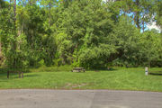 Grass filled campsite next to an asphalt road with a picnic table, surrounded by lush vegetation.