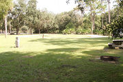Grass filled campsite with a picnic table and fire ring, surrounded by trees and shrubbery.