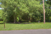 Sunny campsite with a picnic table, bordered by woods.