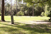 Sunny campsite surrounded by trees and shrubbery.