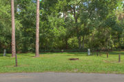 Sunny campsite with a picnic table and woodland backdrop.