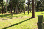 Sunny campsite surrounded by trees.