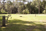 Sunny campsite with a woodland backdrop.