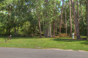 Sunny campsite with a picnic table and woodland backdrop.