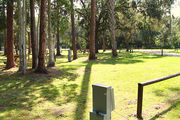 Sunny campsite surrounded by trees.
