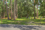 Partially sunny campsite bordered by woods.