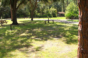 Partially sunny campsite surrounded by trees.