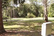 Partially sunny campsite with a woodland backdrop.