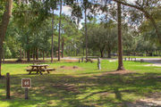 Sunny campsite with a picnic table in partial shade from an oak tree.