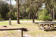 Sunny campsite with a picnic table and fire ring, all in partial shade from an oak tree.