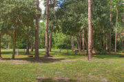 Sunny campsite, partially shaded by an oak tree.