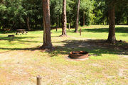 Sunny campsite with a fire ring, in partial shade from an oak tree.