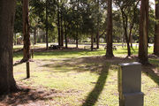 Partially shaded campsite with trees surrounding.