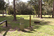 Partially shaded campsite surrounded by trees.
