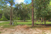 Large, sunny, pull through campsite with a picnic table.