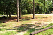 Large, sunny, pull through campsite with a fire ring.