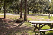 Large, sunny, pull through campsite with a picnic table and fire ring.