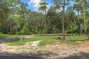Large, sunny, pull through campsite with a picnic table and asphalt road in the background.