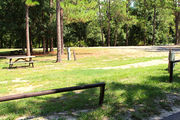 Large, sunny, pull through campsite with a picnic table.