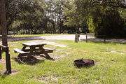 Large, sunny, pull through campsite with a picnic table and fire ring.
