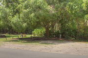 Large campsite with a picnic table and large oak tree.