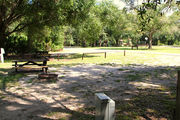 partially shaded campsite with a picnic table and fire ring.