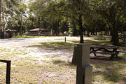 Partially shaded campsite with a picnic table.