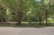 Shaded campsite with a picnic table.