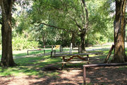Shaded campsite with a picnic table and fire ring.