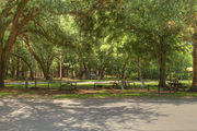 Shaded campsite with a picnic table.
