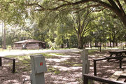 Shaded campsite with a picnic table and leaf covered ground.