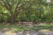 Shaded campsite with a picnic table and fire ring.