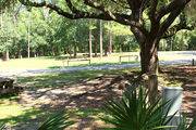 Shaded campsite with a picnic table and fire ring, surrounded by trees and palmettos.
