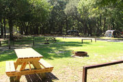Sunny campsite with a picnic table and fire ring.