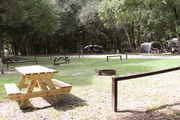 Sunny campsite with a picnic table and fire ring.