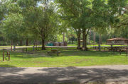 Shaded campsite with a picnic table and fire ring.