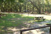 Shaded campsite with a picnic table and fire ring.