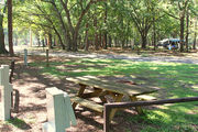Shaded campsite with a picnic table, located in the middle of the campground.