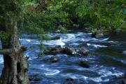 This state park is divided by the swiftly flowing Hillsborough River with a set of Class II rapids